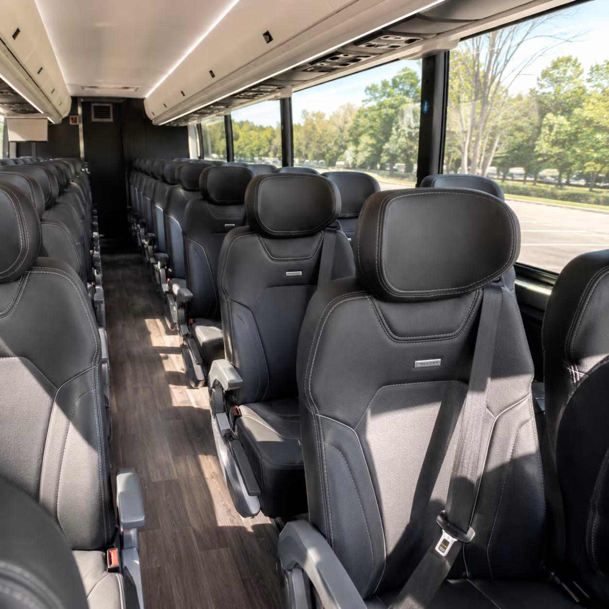 Royal Oak Concert Transportation & Shuttles
