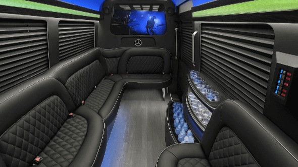 dearborn 14 passenger sprinter limousine inside