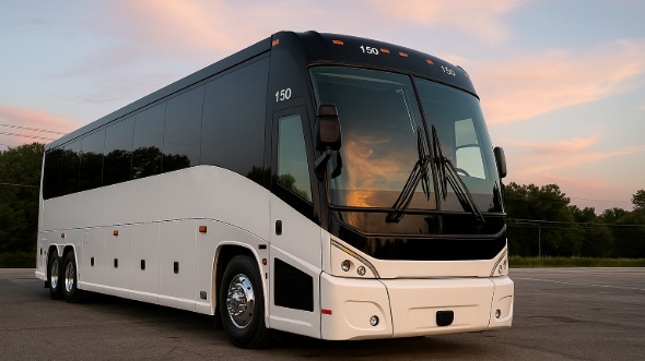 dearborn heights bachelor and bachelorette party bus rentals