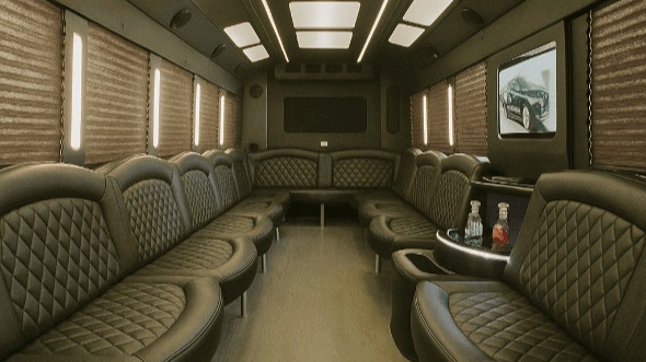 detroit 20 passenger party bus